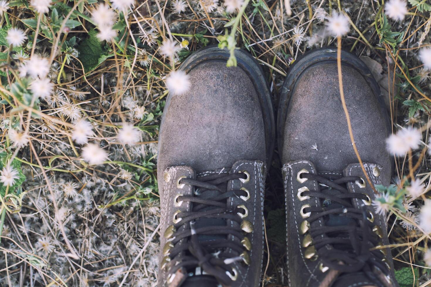 Women's feet with brown women boots in the flower field. photo