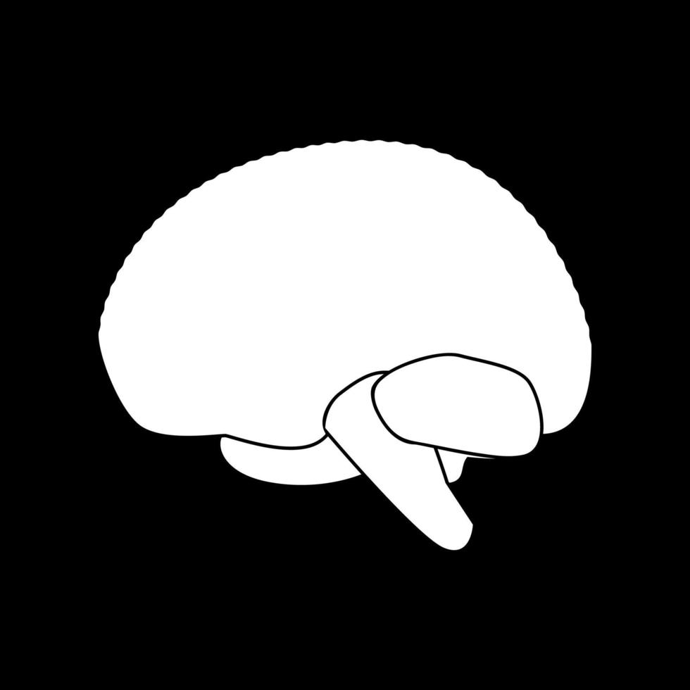 Brain white color icon . vector