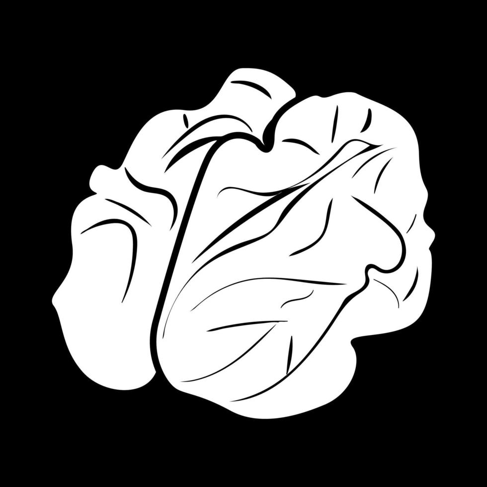Walnut white color icon . vector