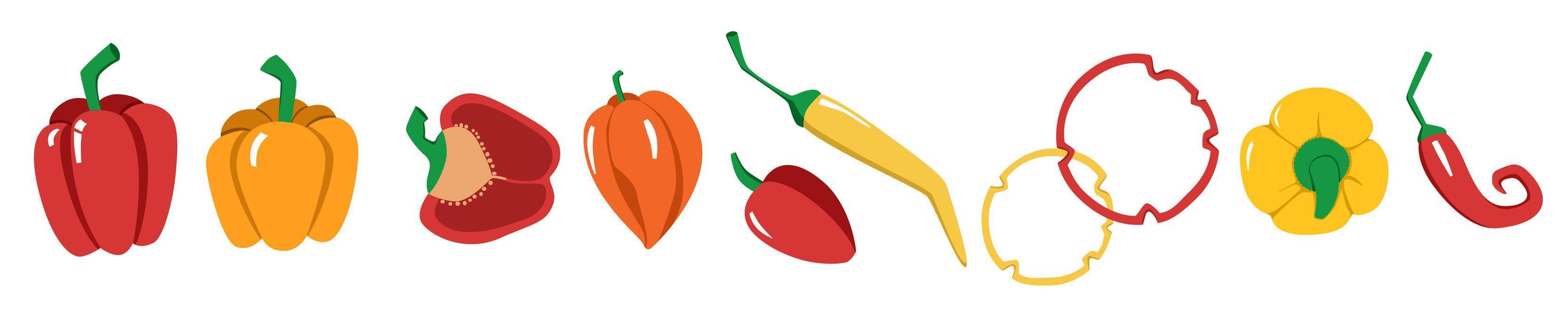 A bright vector set of colorful peppers.