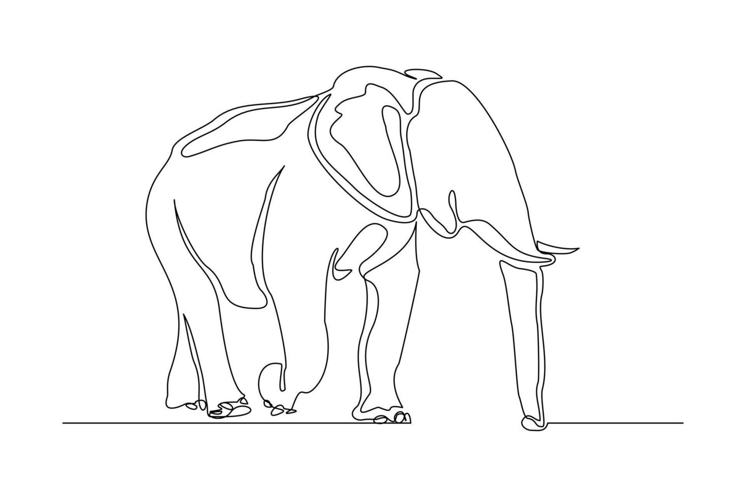 Continuous line of walking standing elephant. Single one line art of wild elephant. Vector illustration