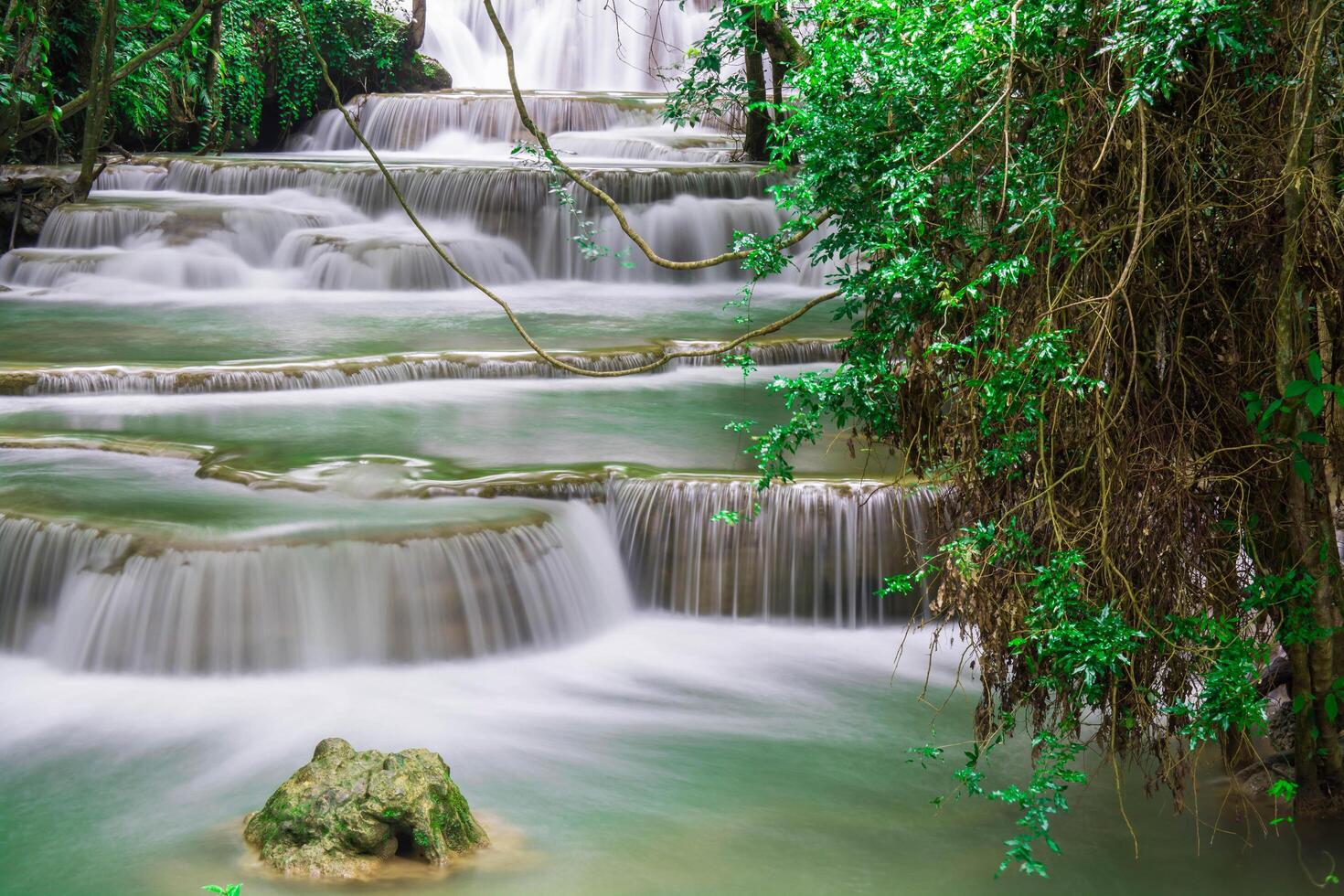 hermosa cascada y bosque verde lugar de descanso y relax tim foto