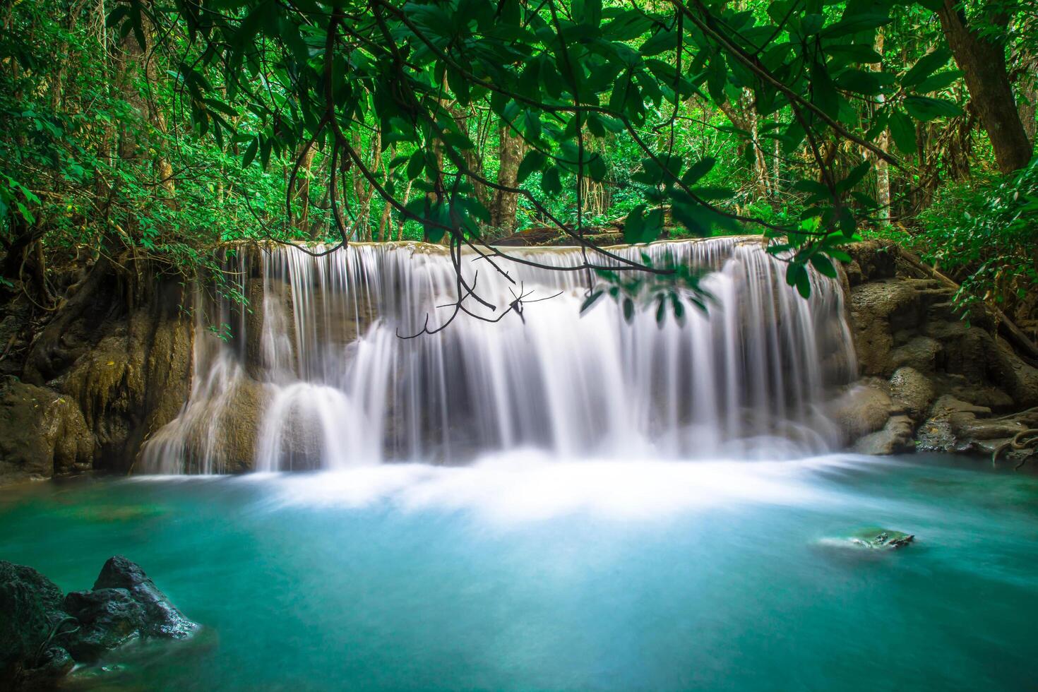 hermosa cascada y bosque verde lugar de descanso y relax tim foto