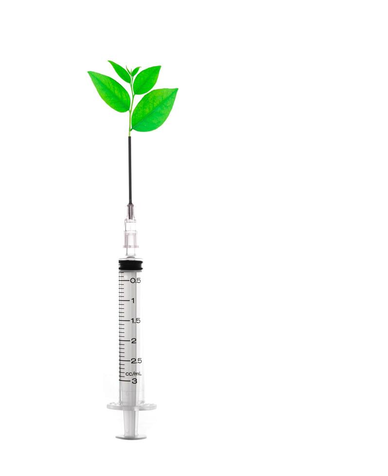 Syringe inject out green leaf photo