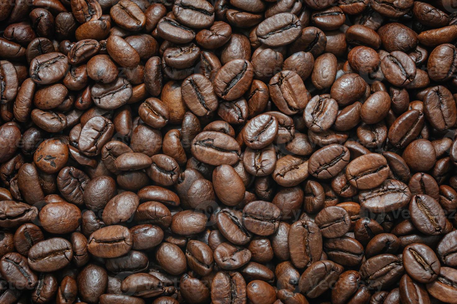 Freshly roasted coffee beans photo