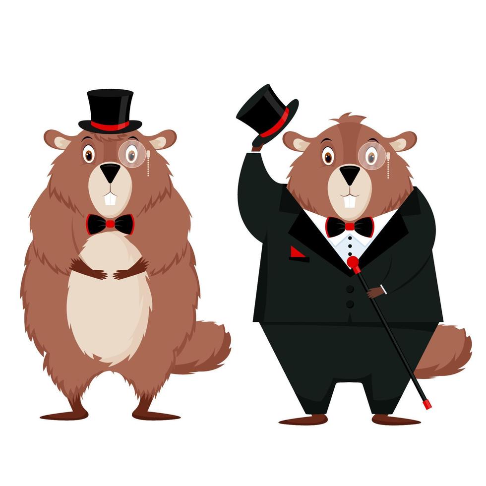 feliz dia de la marmota. conjunto de dos marmotas elegantes aisladas en un fondo blanco. ilustración vectorial vector