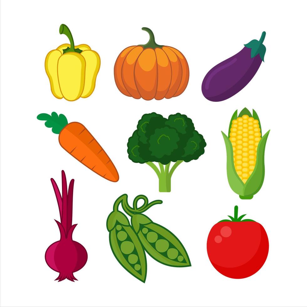Vegetables Illustration Design Vector Set