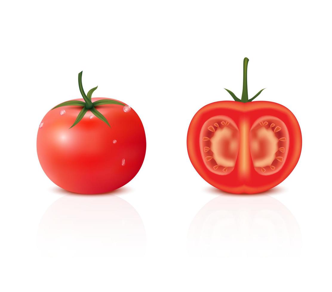 tomate tomate fresco. tomates enteros y medio cortados aislados en fondo blanco. alimentos orgánicos saludables vegetales, vegetarianos y veganos. ilustración vectorial 3d realista. vector