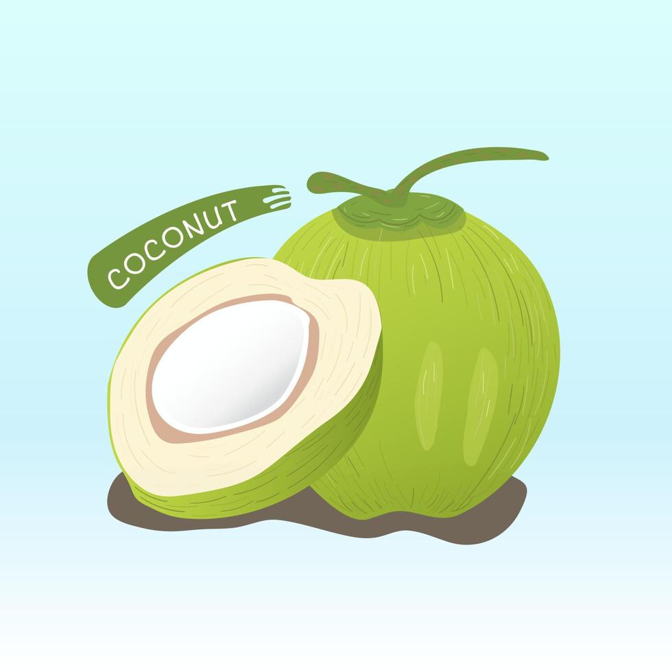 Ilustración de coco. fondo aislado, vector