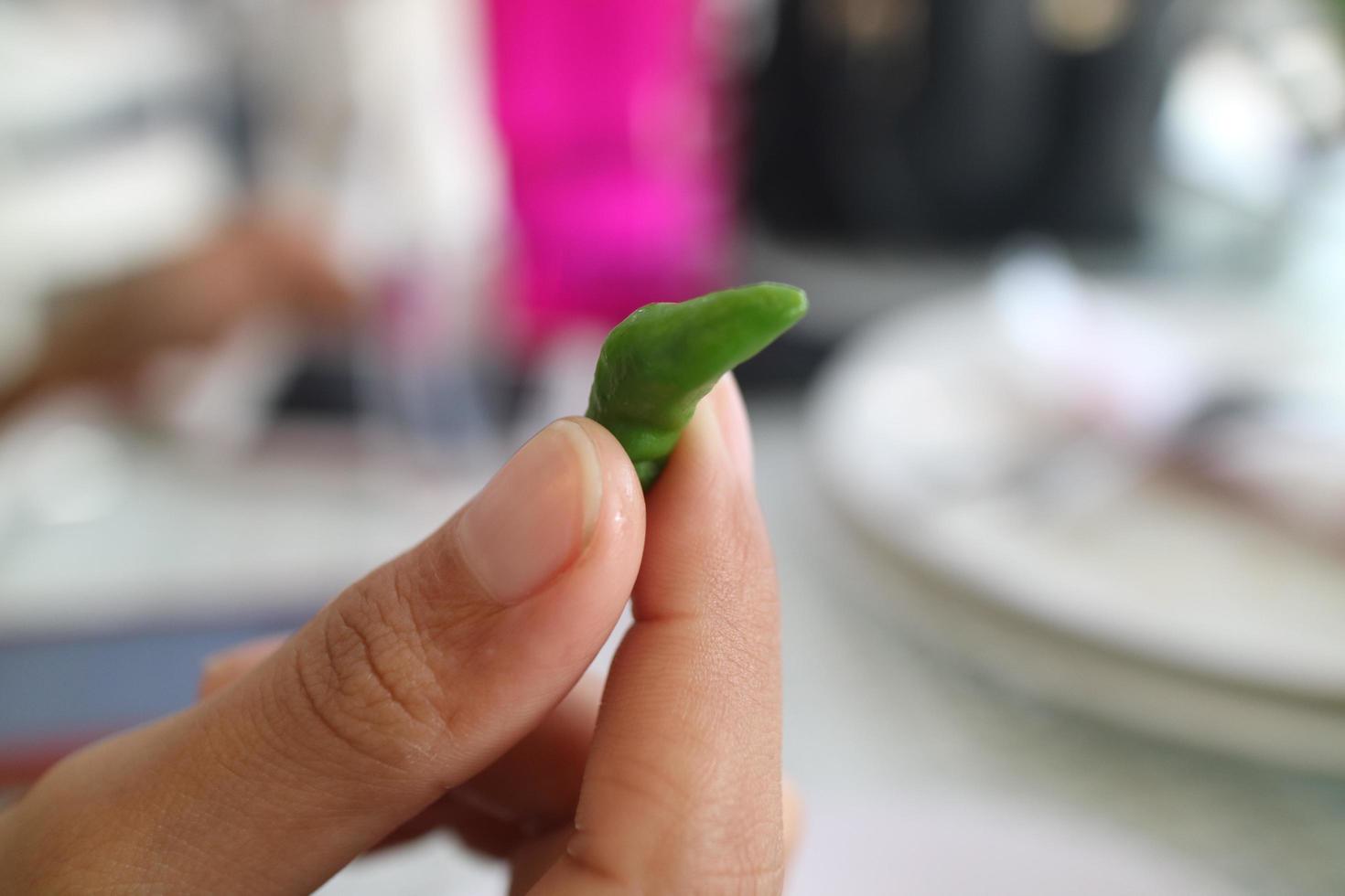 hand holding small green chili photo