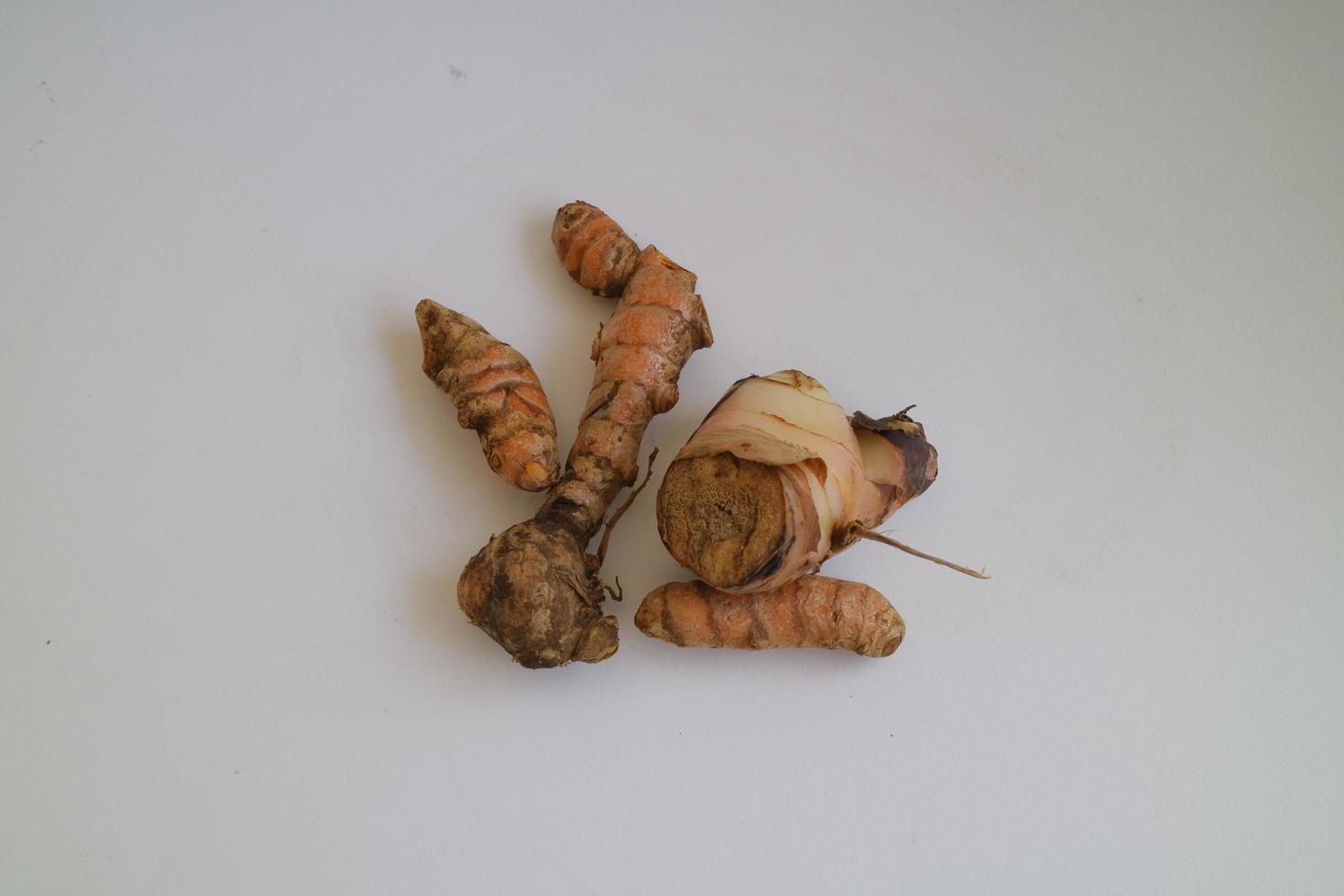 brown galangal for cooking or seasoning photo