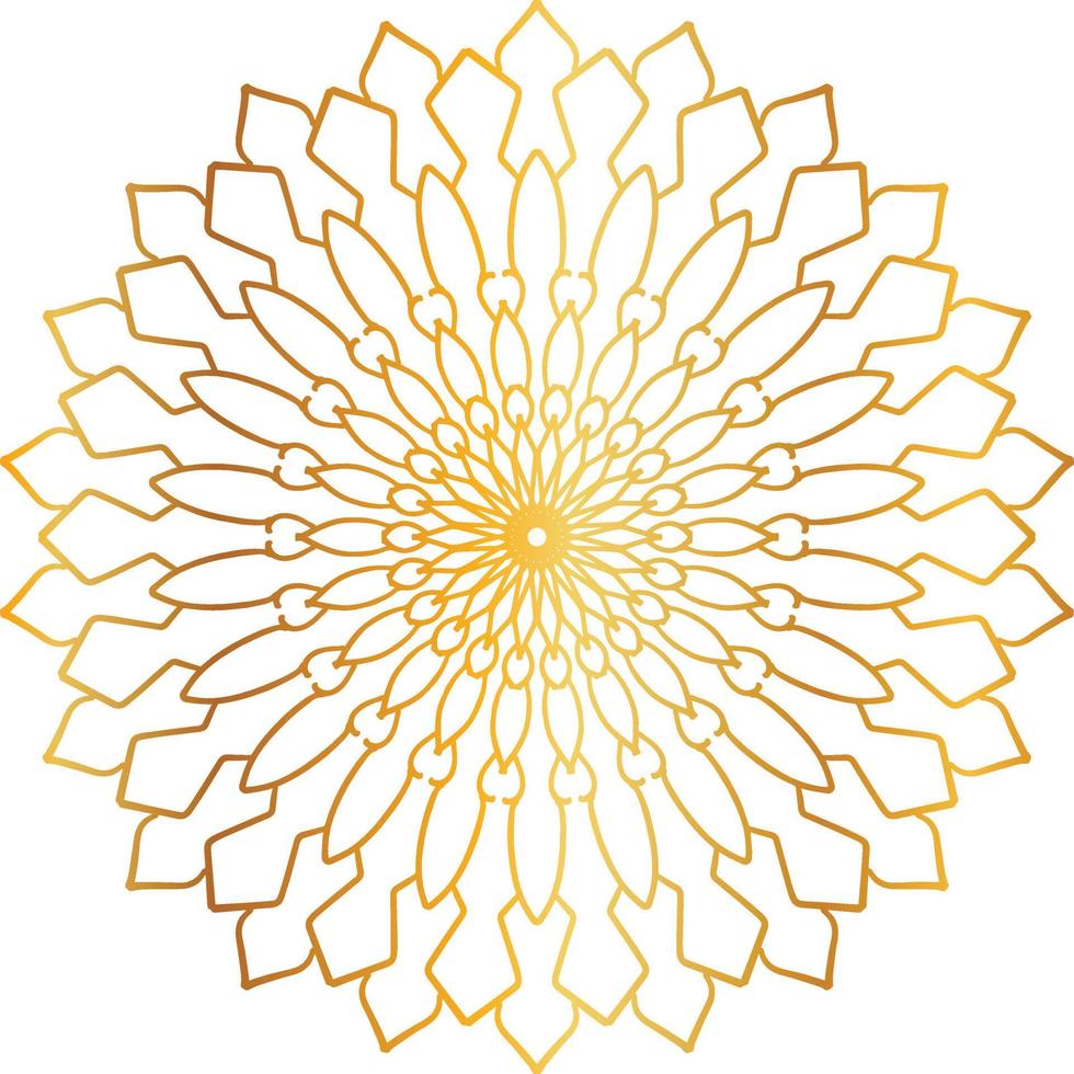 diseño de mandala dorado, real, diseño, fondo, circulo, flor vector