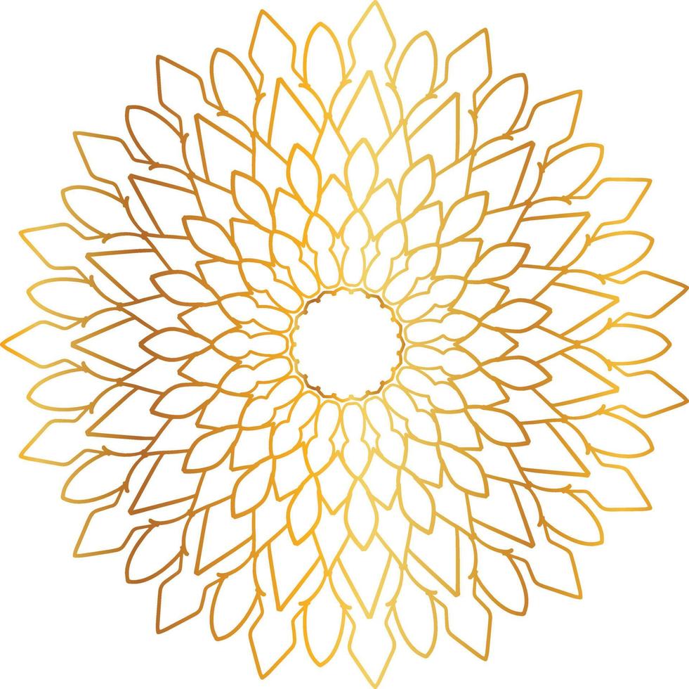 golden mandala design, royal, designing, background, circle, flower vector