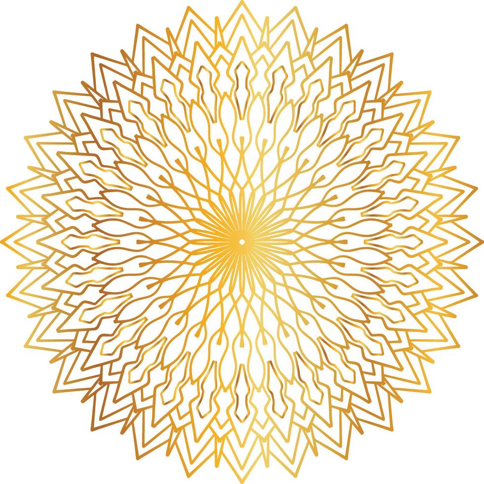 diseño de mandala dorado, real, diseño, fondo, circulo, flor vector