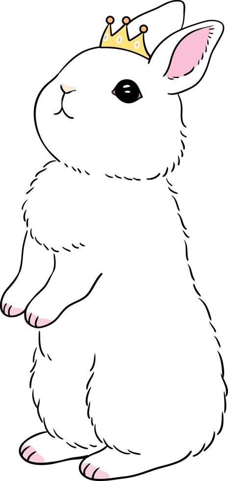 A rabbit stands and looks up vector