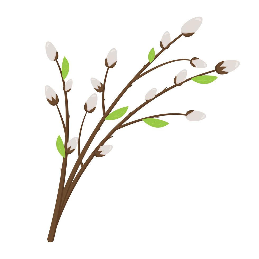 Willow branches. Greeting card template. Spring flower. Easter concept vector