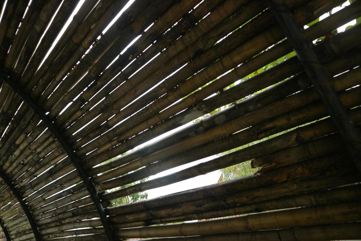 walls made of neat arrangement of bamboo photo