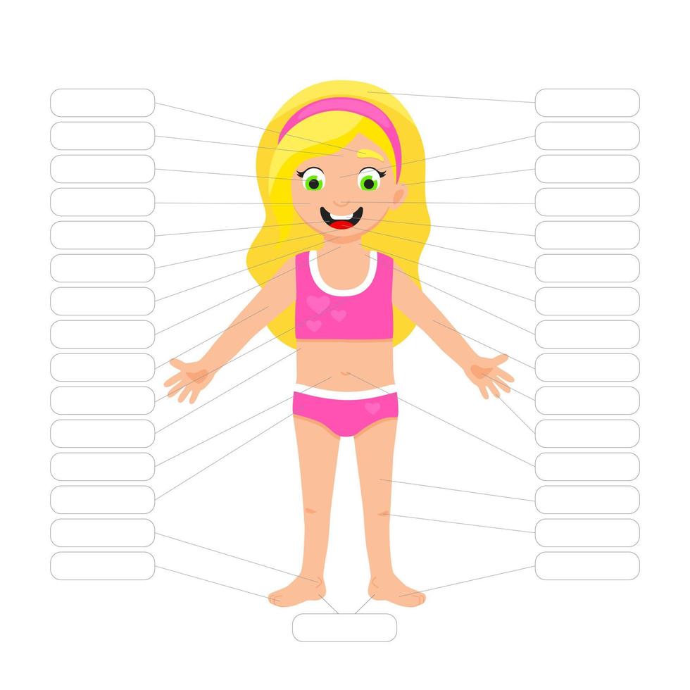 My body poster. Cute kid girl shows his body parts medical anatomy chart banner. vector