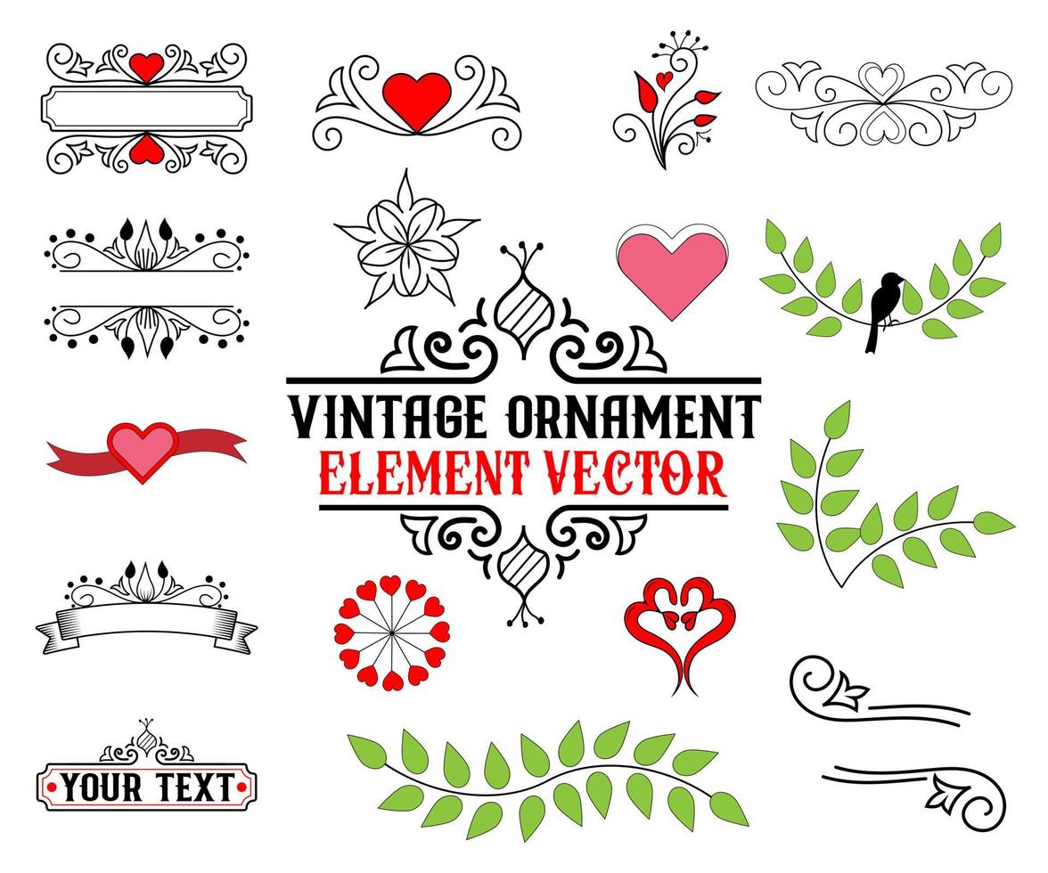 Vintage ornaments set floral elements vector