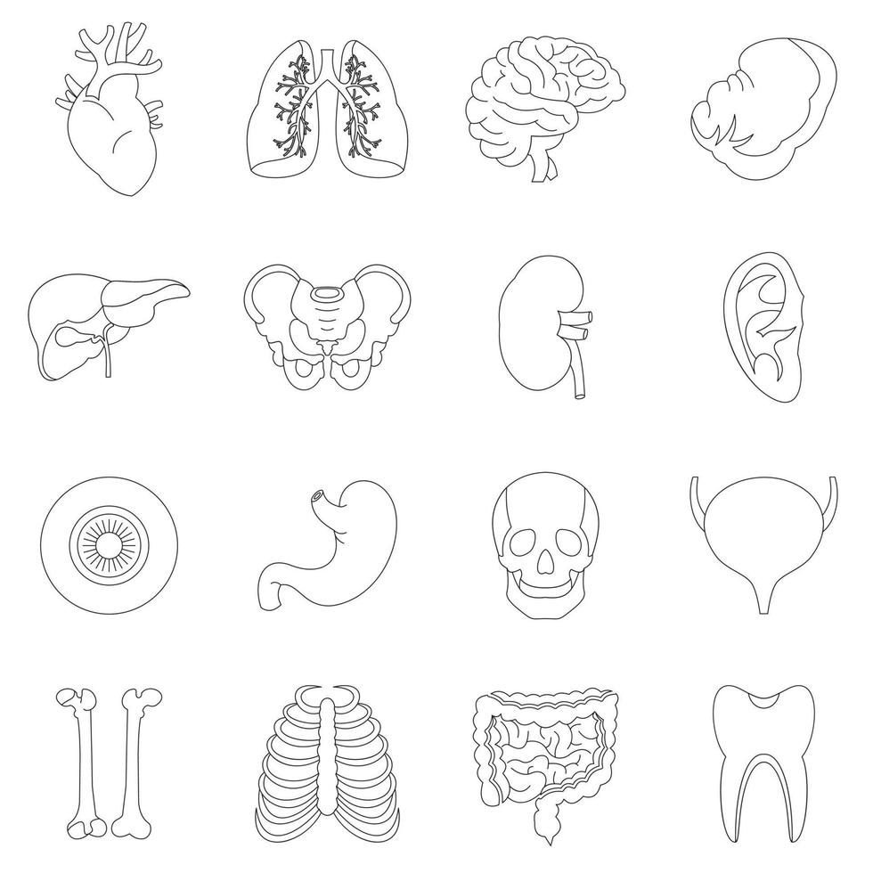 conjunto de iconos de órganos humanos, estilo de contorno vector