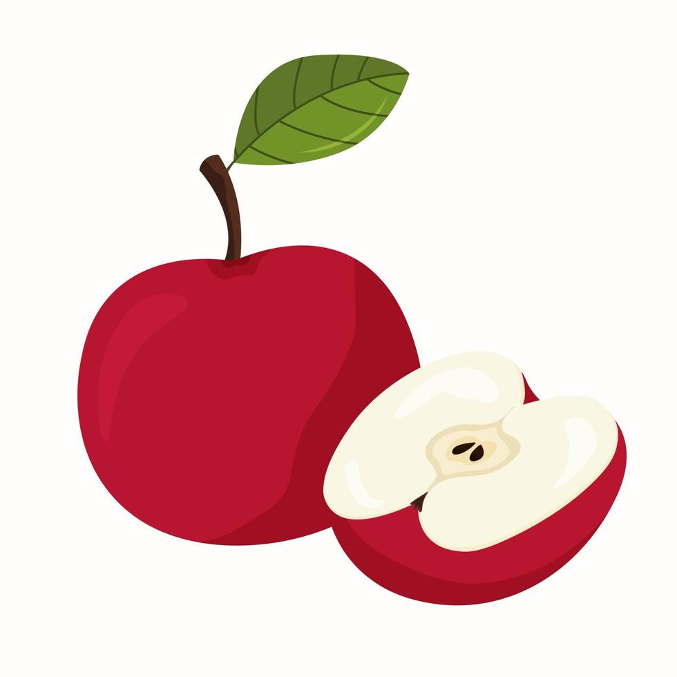 Red apple with a leaf and half an apple vector