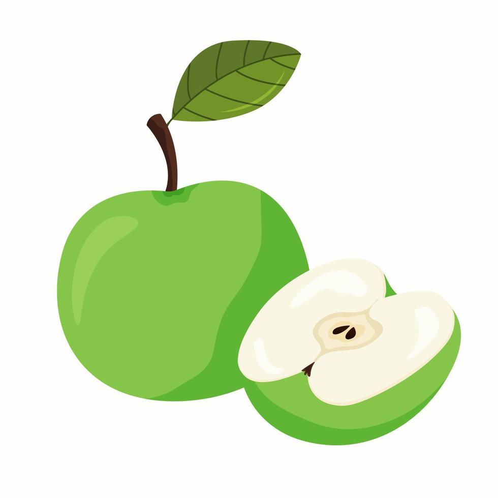 Green apple with a leaf and half an apple vector