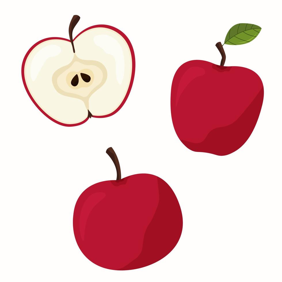 conjunto de manzana roja. manzana en rodajas aislada sobre fondo blanco. vector