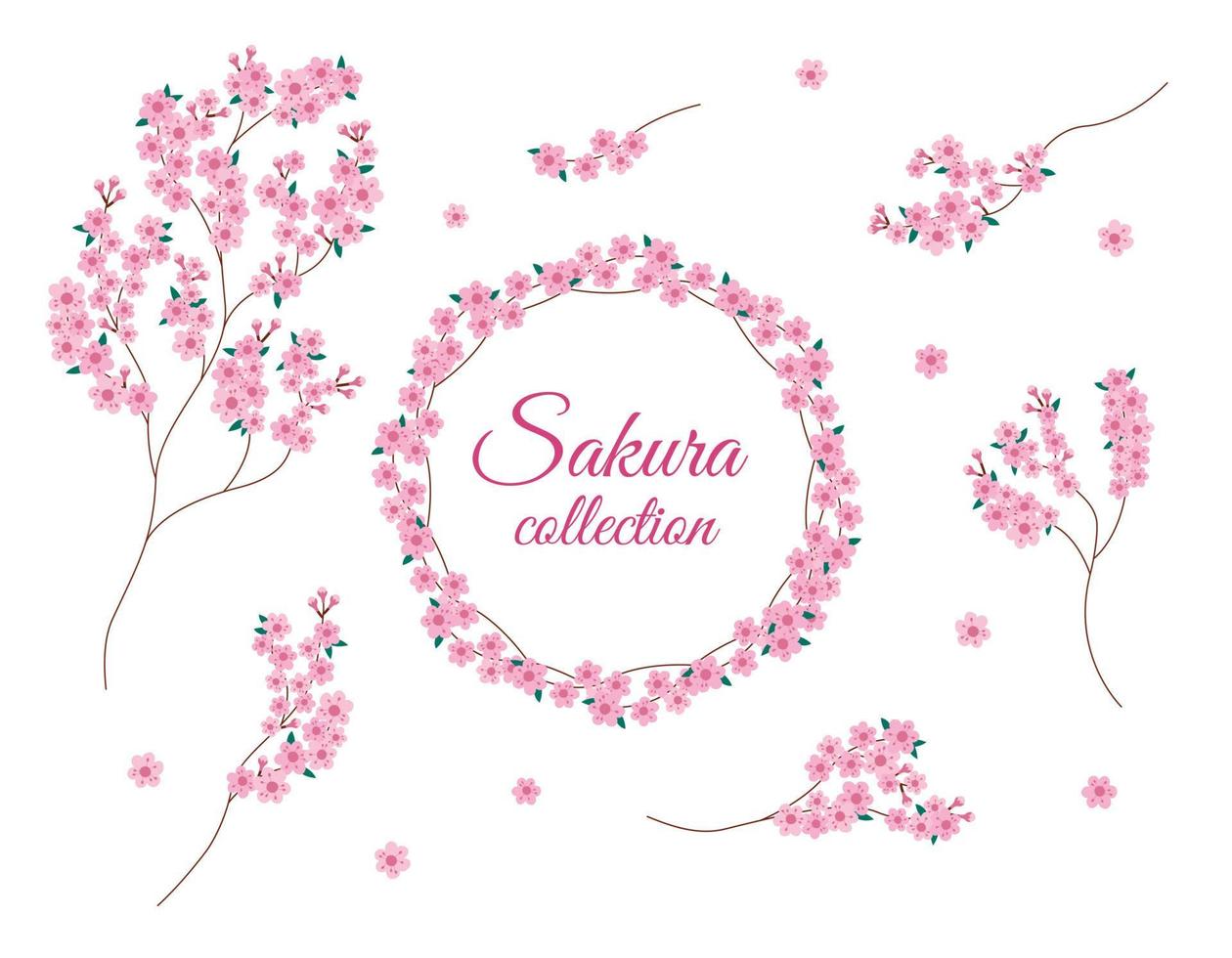 Sakura flowers branches isolated set. Vector collection of Sakura blossom. Design floral elements and round frame on white backround