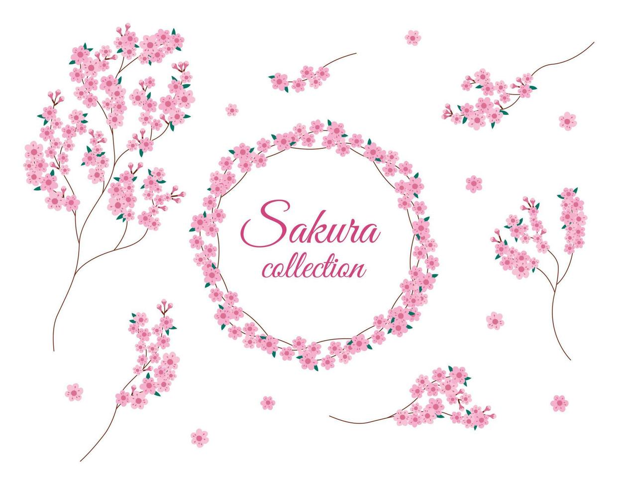 conjunto aislado de ramas de flores de sakura. colección de vectores de flor de sakura. elementos florales de diseño y marco redondo sobre fondo blanco