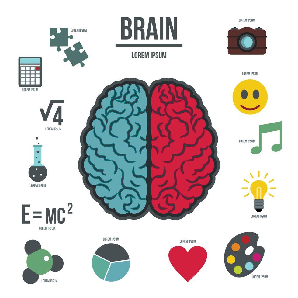 Human brain infographics set, flat style vector