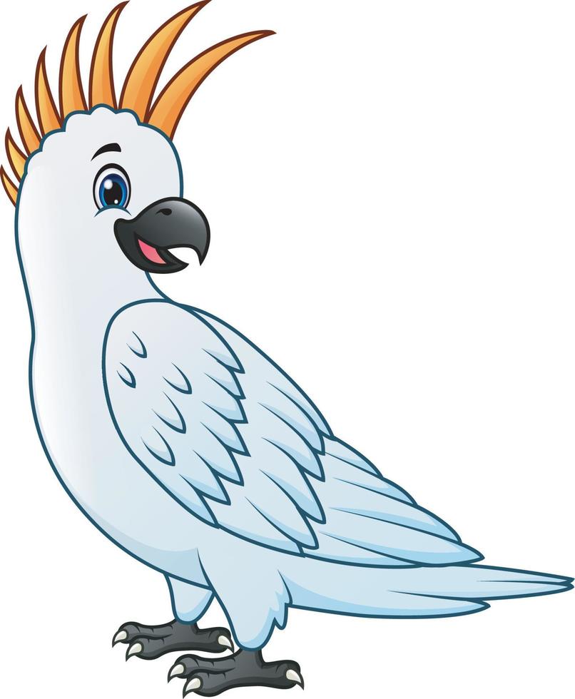 A parrot bird cartoon vector