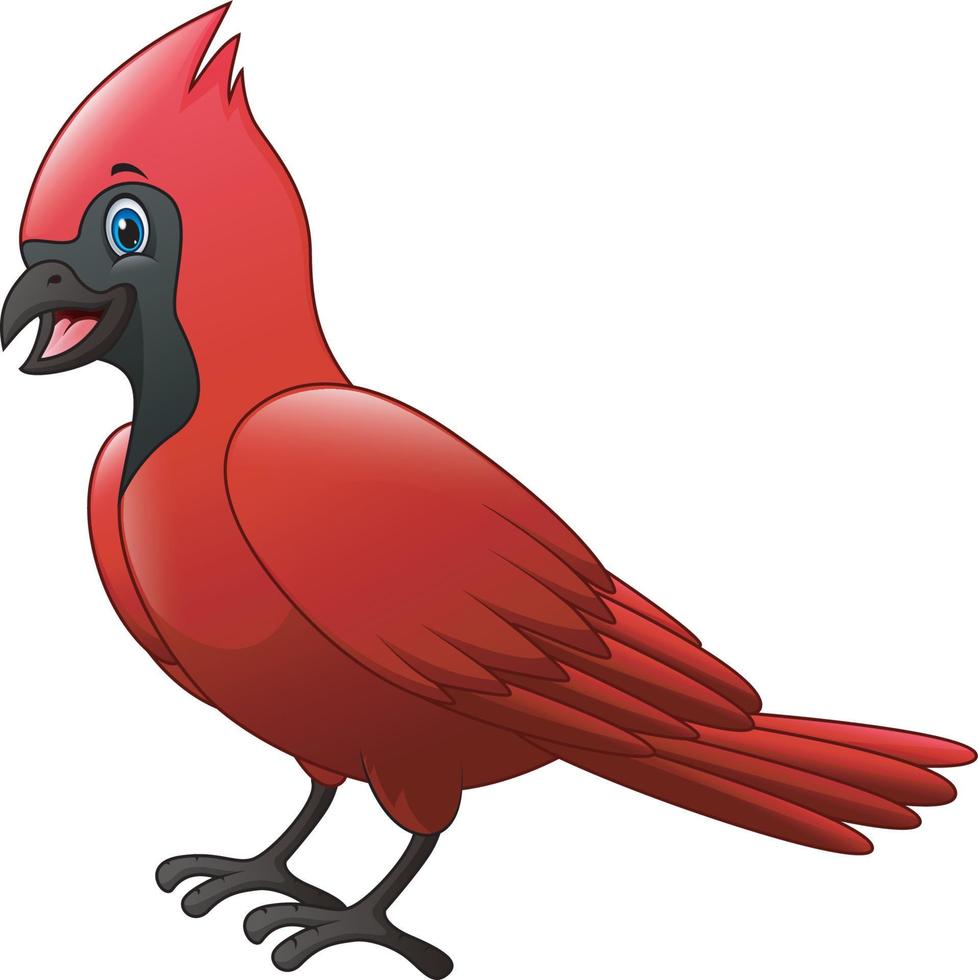 linda caricatura de un pájaro cardenal vector