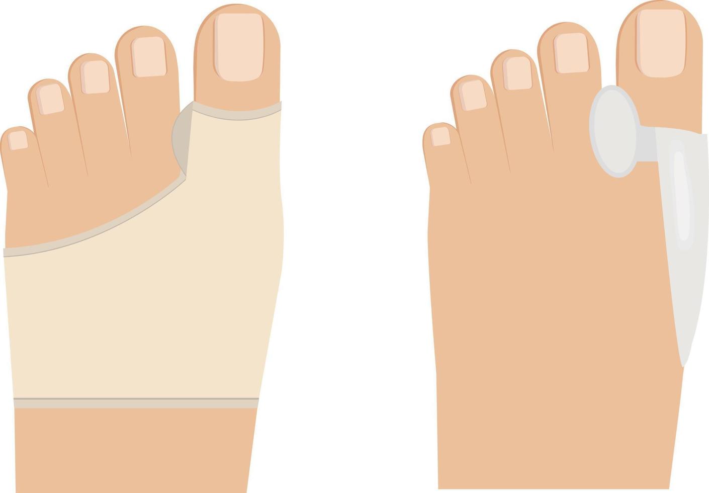 Vector illustration of podiatry