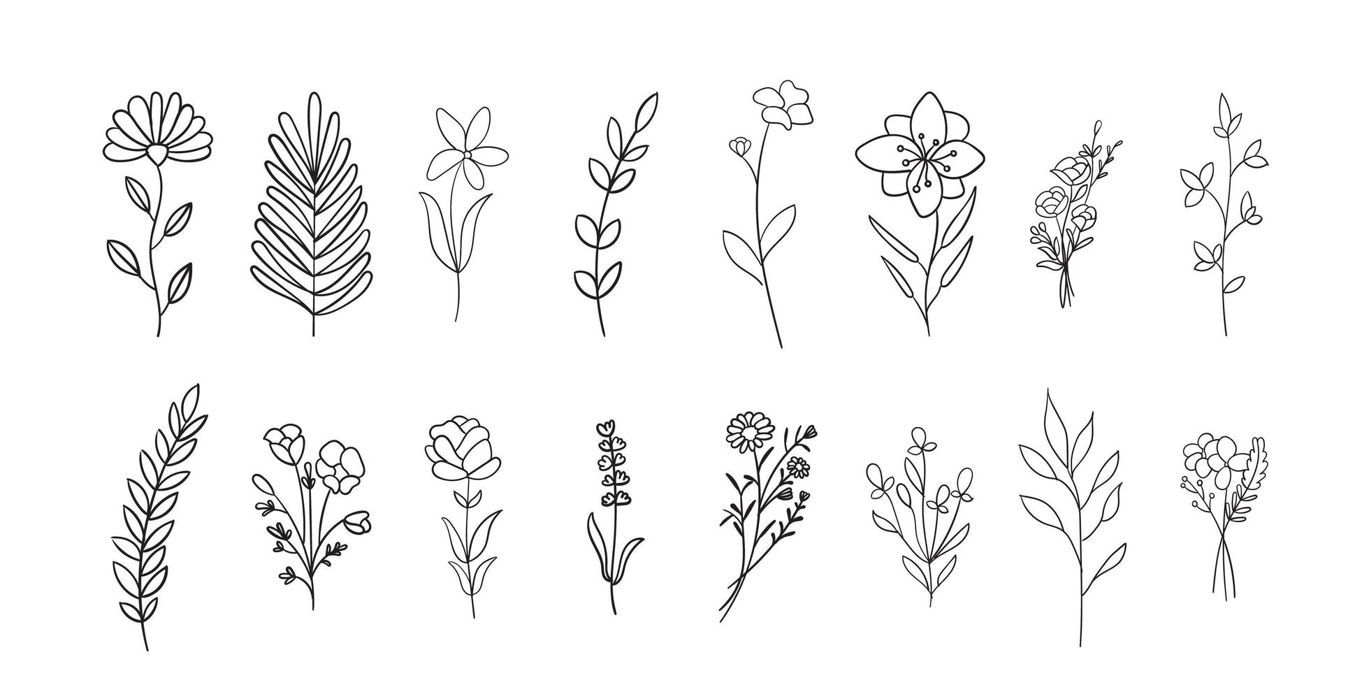 Flowers, botanical and leaves outline vector collection.