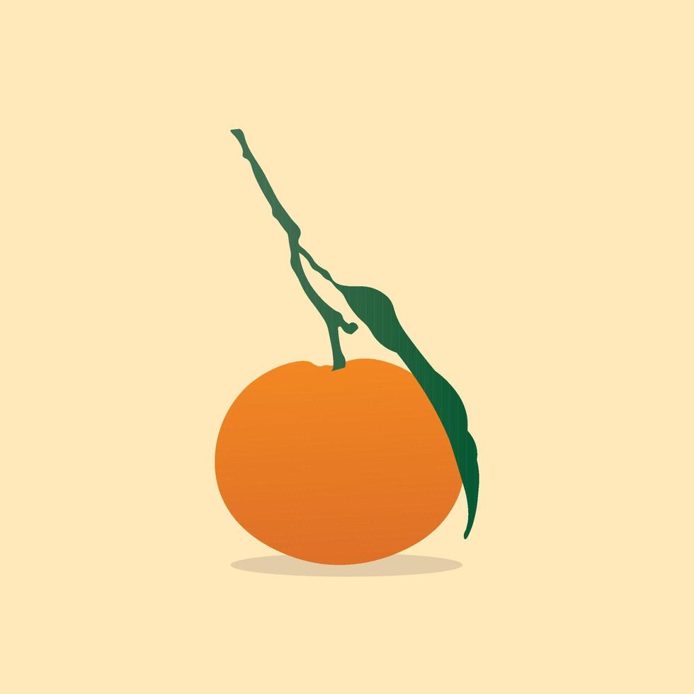 Orange with Leaf Illustration vector