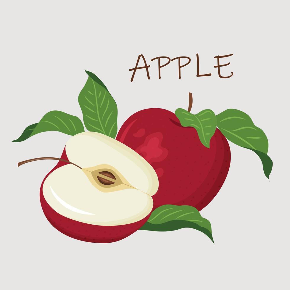 una composición colorida y brillante con manzanas rojas maduras y jugosas. vector