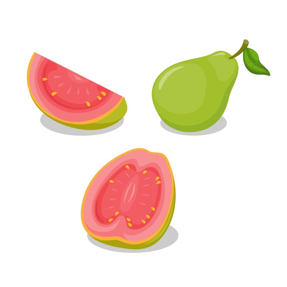 vector de ilustración de conjunto de colección de objetos enteros y rebanadas de guayaba