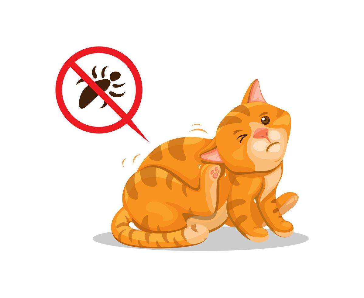 gato con picazón de piojos. mascota animal parásito piel problema dibujos animados ilustración vector