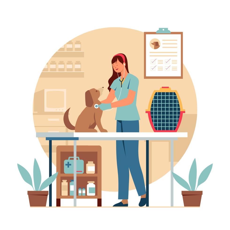 Female Veterinarian Diagnosing a Dog vector
