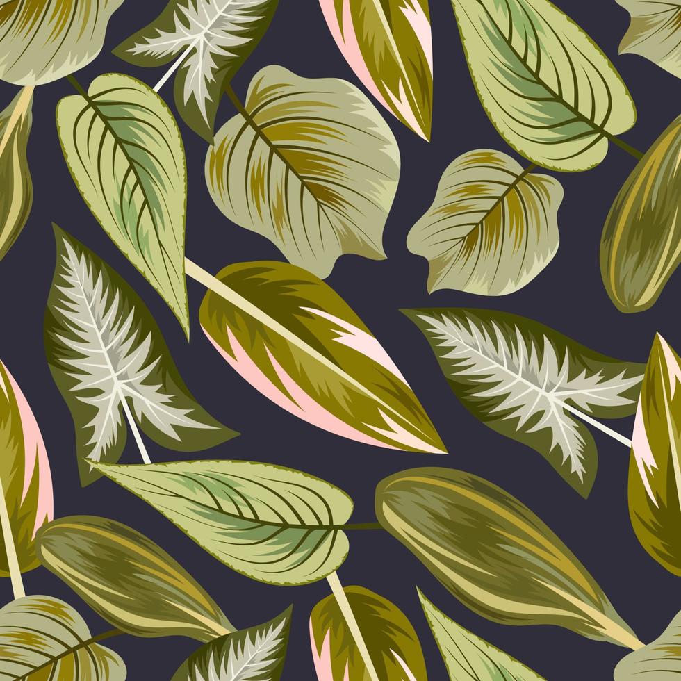 Seamless pattern with tropical beautiful leaves exotic background. vector