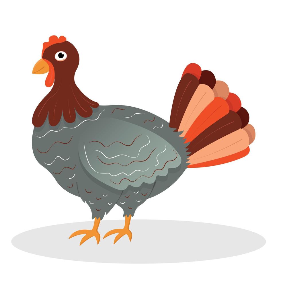 Turkey, bird. Concept design of farm animals - Turkey side view profile. Isolated turkey on white background. Vector Illustration