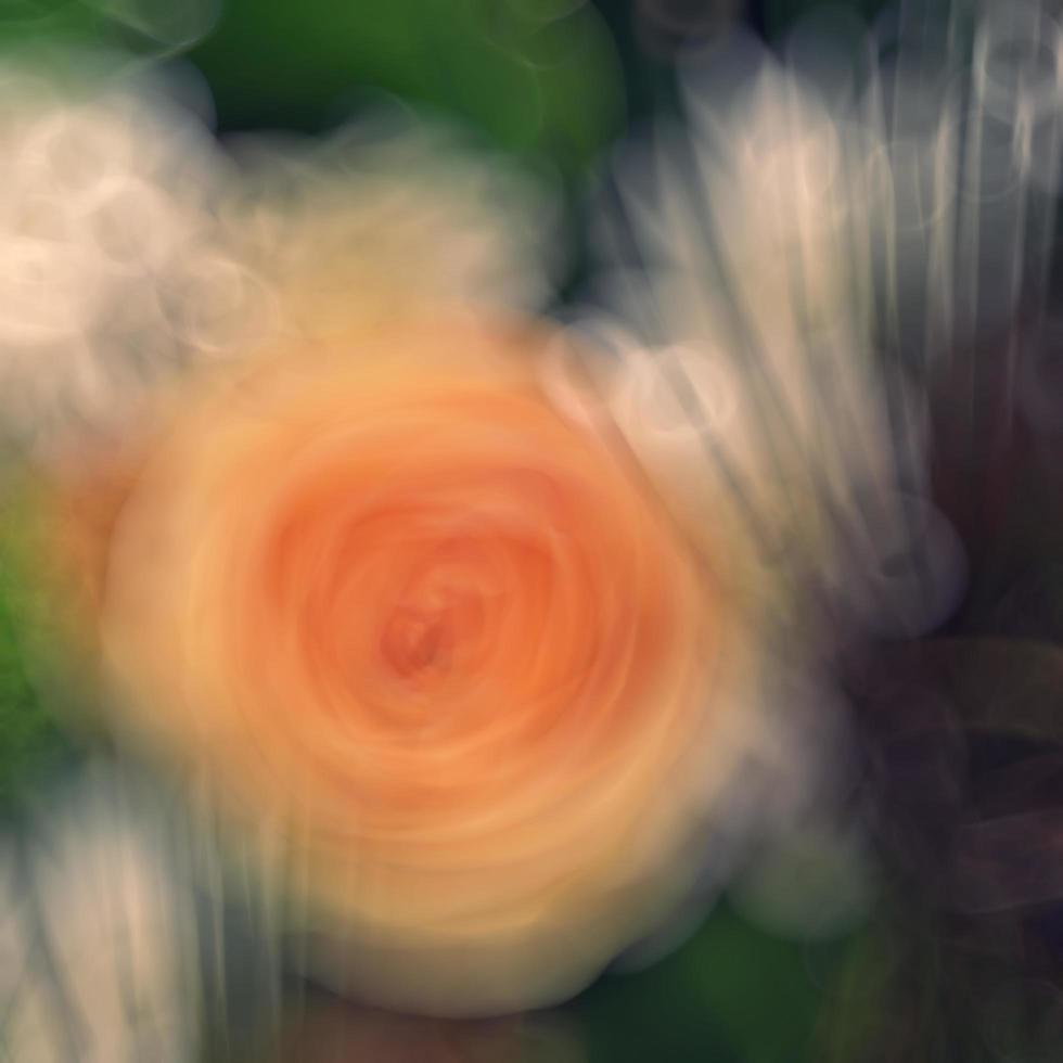 blurred flower background photo