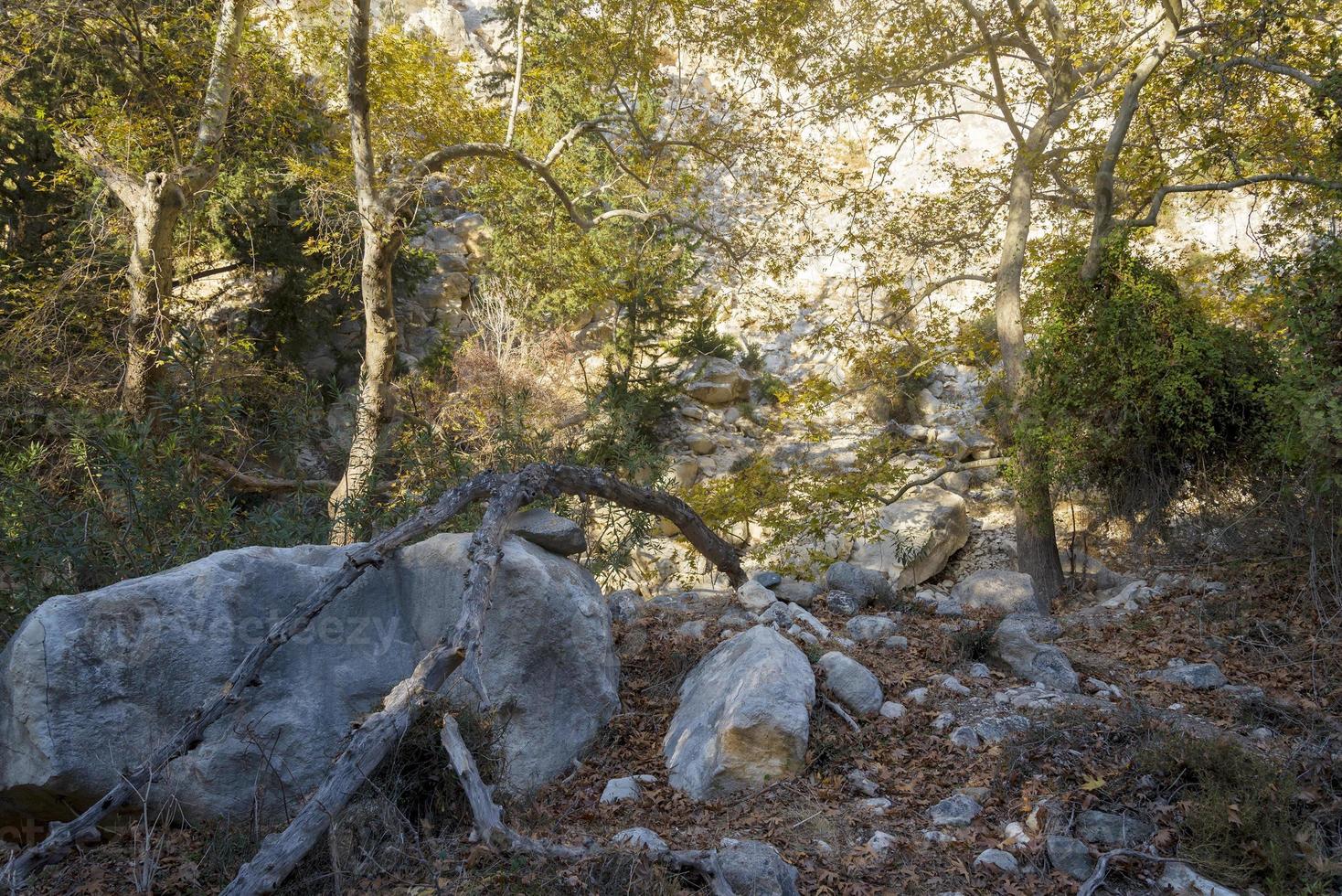 Mountains of avakas gorge in autumn. Hiking in the gorge. photo