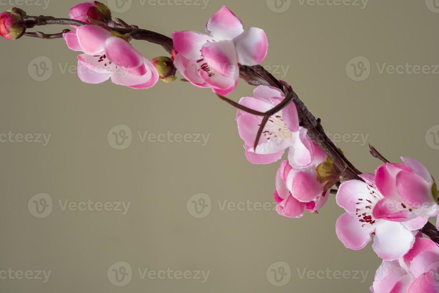 Artificial cherry blossom branch with bright pink flowers. photo