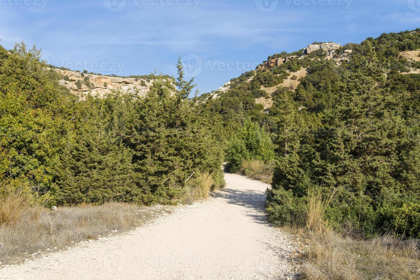 Shrubs and foliage grow along a mountain road on the island of Cyprus. photo