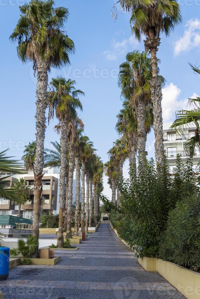 Buildings in Paphos on the island of Cyprus. photo