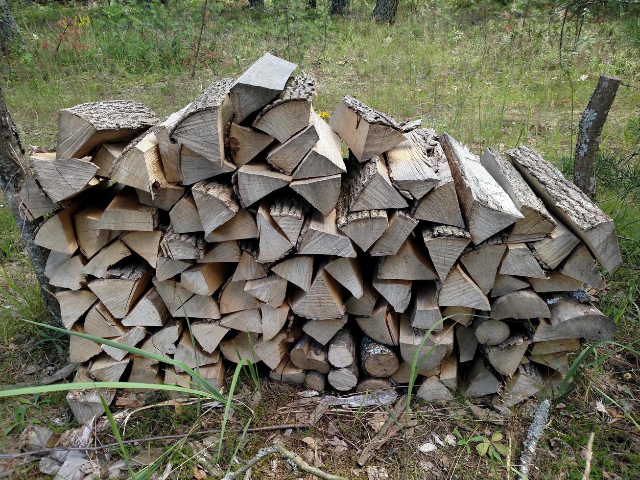 preparación de leña. antecedentes. leña en el bosque. leña en la chimenea de la zona de acampada. montones de leña. foto