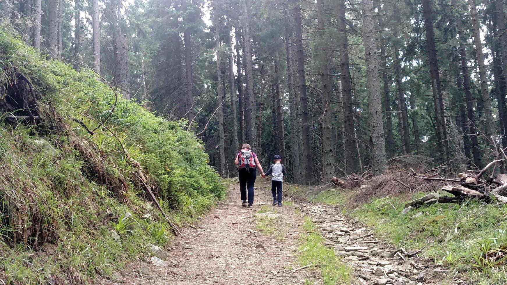 madre e hijo suben la carretera de montaña cuesta arriba sosteniendo la mano mujer con mochila y niño caminando en el bosque foto