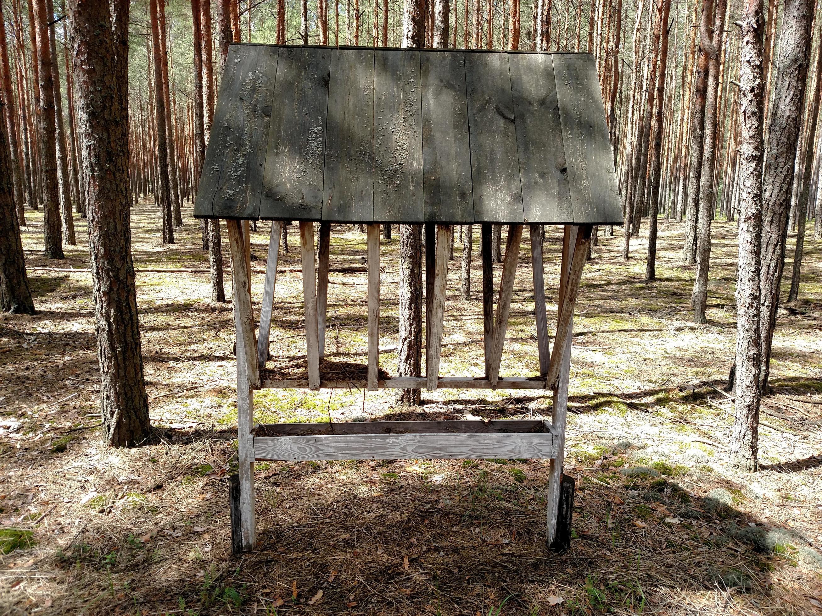 Manger with hay for wild animals in summer forest. 5326618 Stock Photo