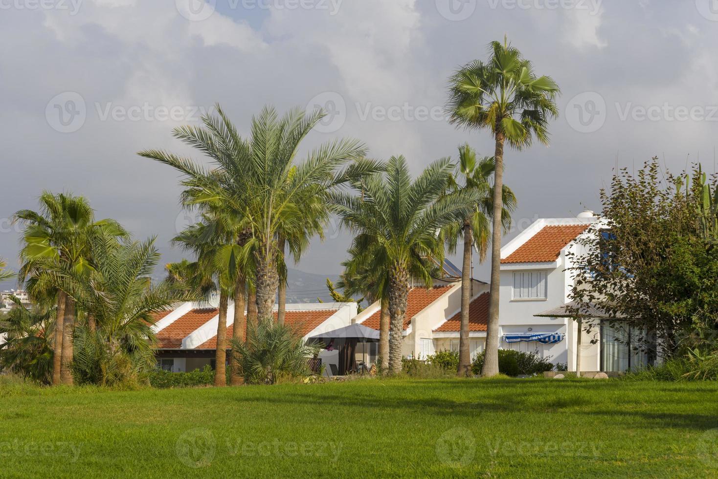 Palm trees and hotel on the island of Cyprus. photo